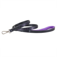 BLACK SWAN - Leine Black Purple